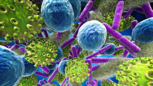 various bacteria cells and virus